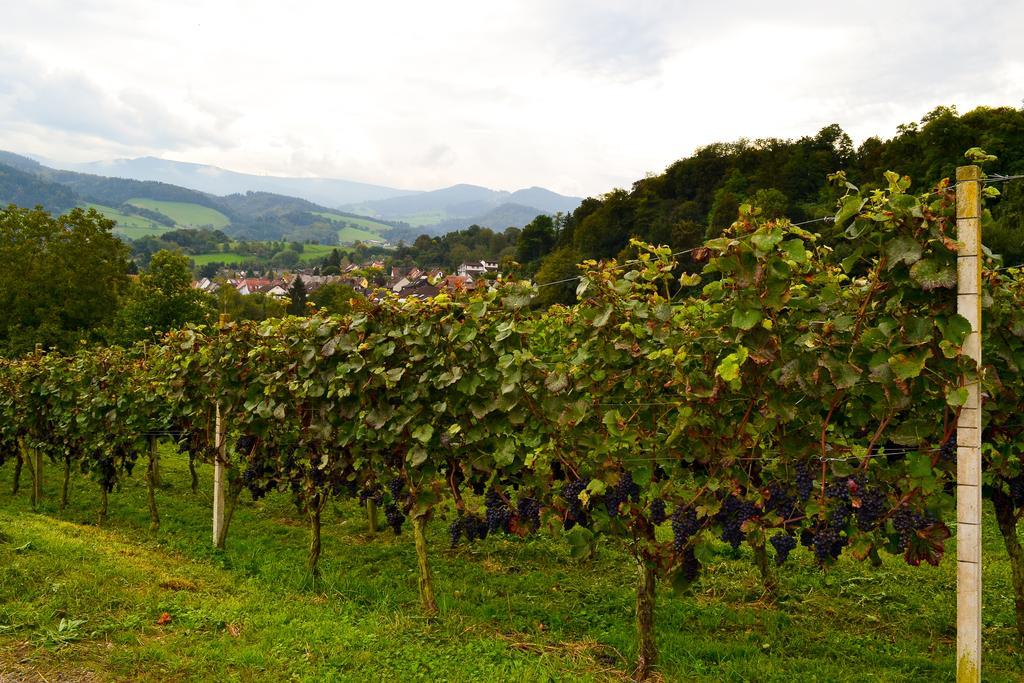 Kuner Weitzel Landgasthof Frohe Einkehr Gbr Merzhausen Bagian luar foto